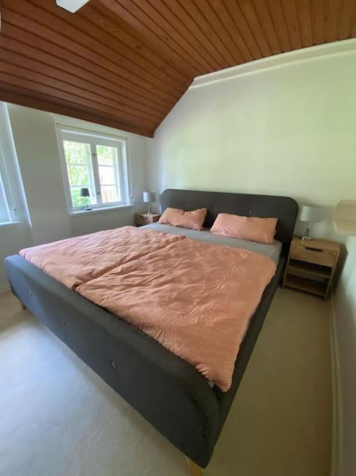 Deichbrise Holiday home *